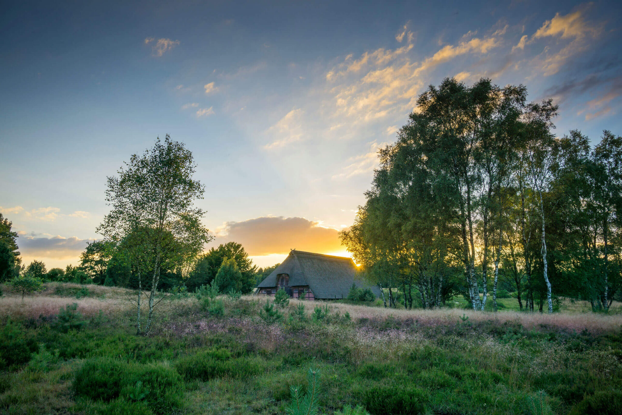 Sonnenaufgang in einer bewaldeten Landschaft in Niedersachsen. Zentral ein traditionelles Bauernhaus.